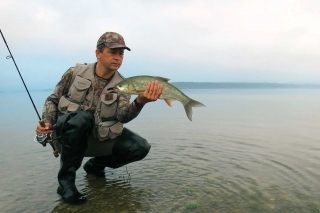 Bežná veľkosť boleňov z Oravskej priehrady.