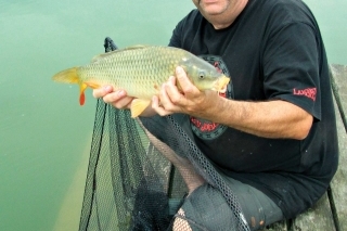Efektívny a úspešný method feeder 11