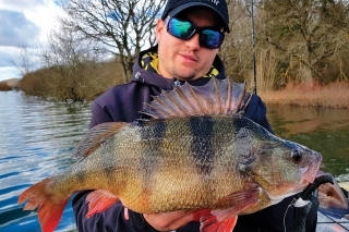 Môj vyfarbený pruhovaný fešák cez 2 kg. Tieto ryby sú už ozajstnými protivníkmi.