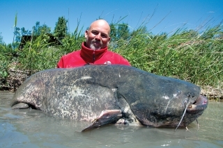 Gigantický sumec, ktorý presiahol hranicu 100 kg.