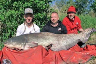 Ranný sumec 217 cm, 
ktorý neodolal našej nástrahe.