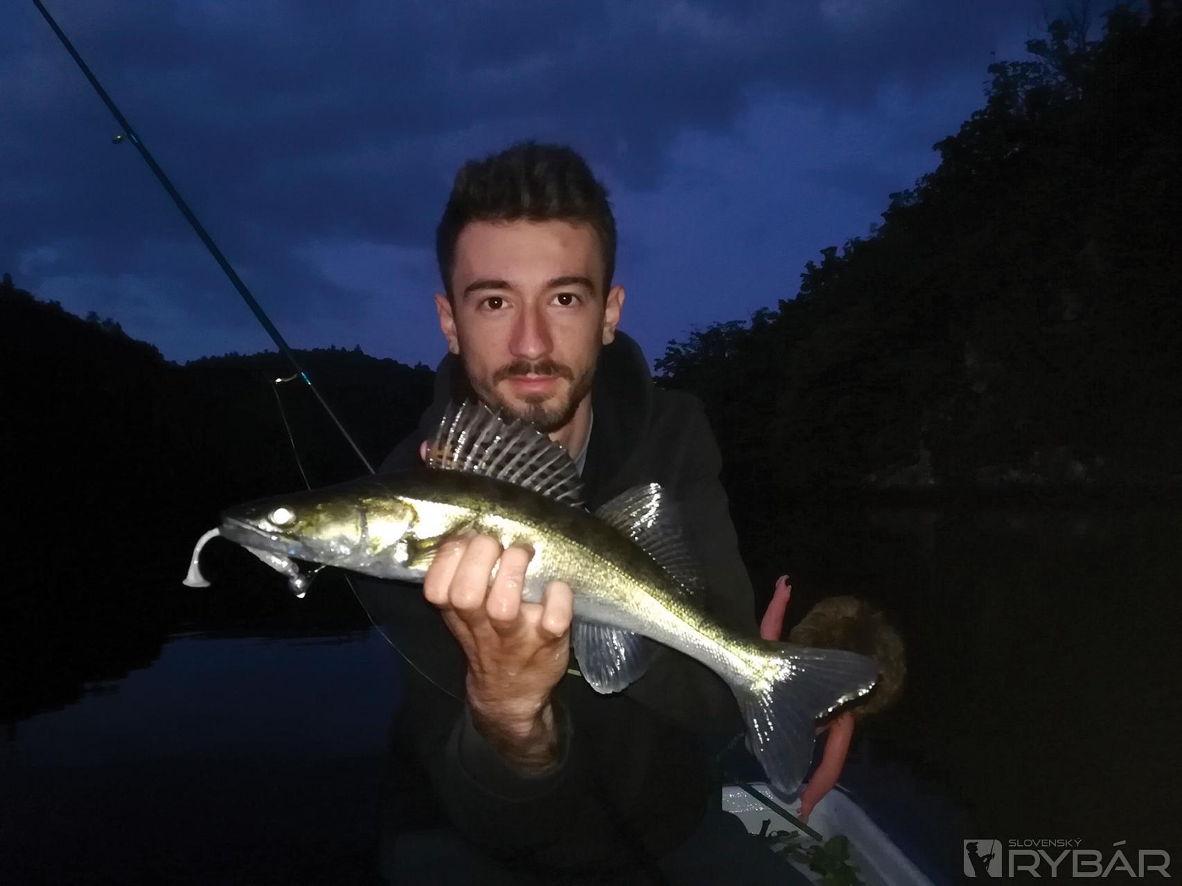 Zježený krásavec.