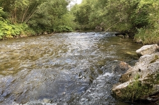 Keď sú brehy husto zarastené, jediná cesta je brodiť sa korytom.