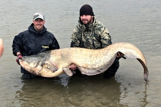 Jožko s Marekom a nádherná 217 cm ikernačka. Nikde na svete som nevidel vypasenejšie sumce ako práve v Taliansku.