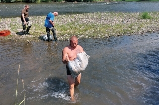 Uhynuté ryby sa zbierali aj do vriec. V tej horúčave to bola poriadna makačka.