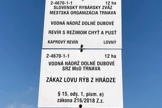 Pýcha trnavskej organizácie.