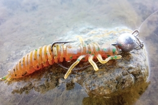 Larva, univerzálna nástraha a moja najobľúbenejšia guma od FANATIK.