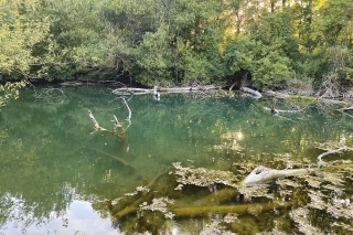 Keď nájdem v lete takéto miesto, tak si poviem, že v zime tu skúsim šťastie. Teraz mi však bodavý hmyz dáva jasne najavo, kto je pánom leta.