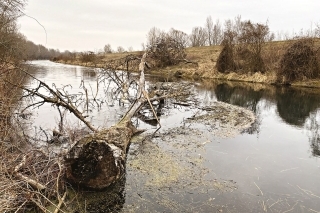 Tu sa určite treba na chvíľku zastaviť a trochu to prehádzať.