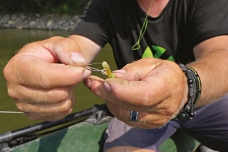 Na šnúru na trhačke upevním karabínku s obratlíkom a kúsok (cca 4 cm) silikónovej hadičky. Pomocou starého chemického svetla nastavujem hĺbku vody, pri ktorej sa má nástraha prezentovať. Výšku som nastavil tak, aby obratlík z montáže vytŕčal trochu z vody. Takže moja nástrahová ryba je asi 150 cm pod vodnou hladinou.
