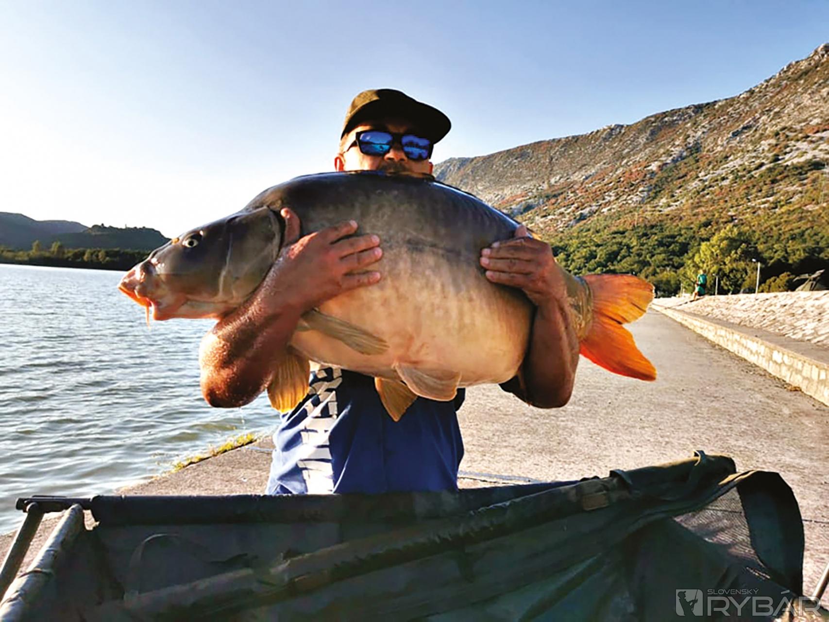 Macko s hmotnosťou 27 kg.