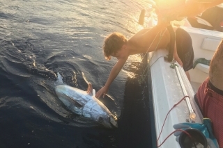Tuniak ulovený vlani v Chorvátsku.