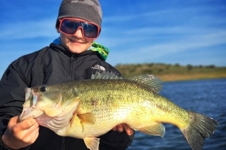 Black bass, Extremadura v tomto roku.