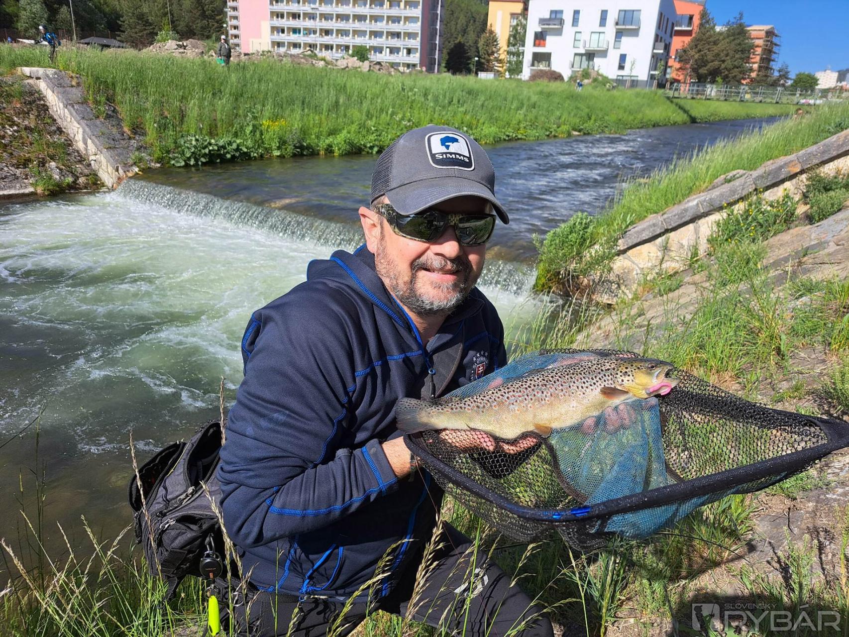 Pstruhy potočné boli sústredené za prekážkami, pod brehmi a v splavoch.