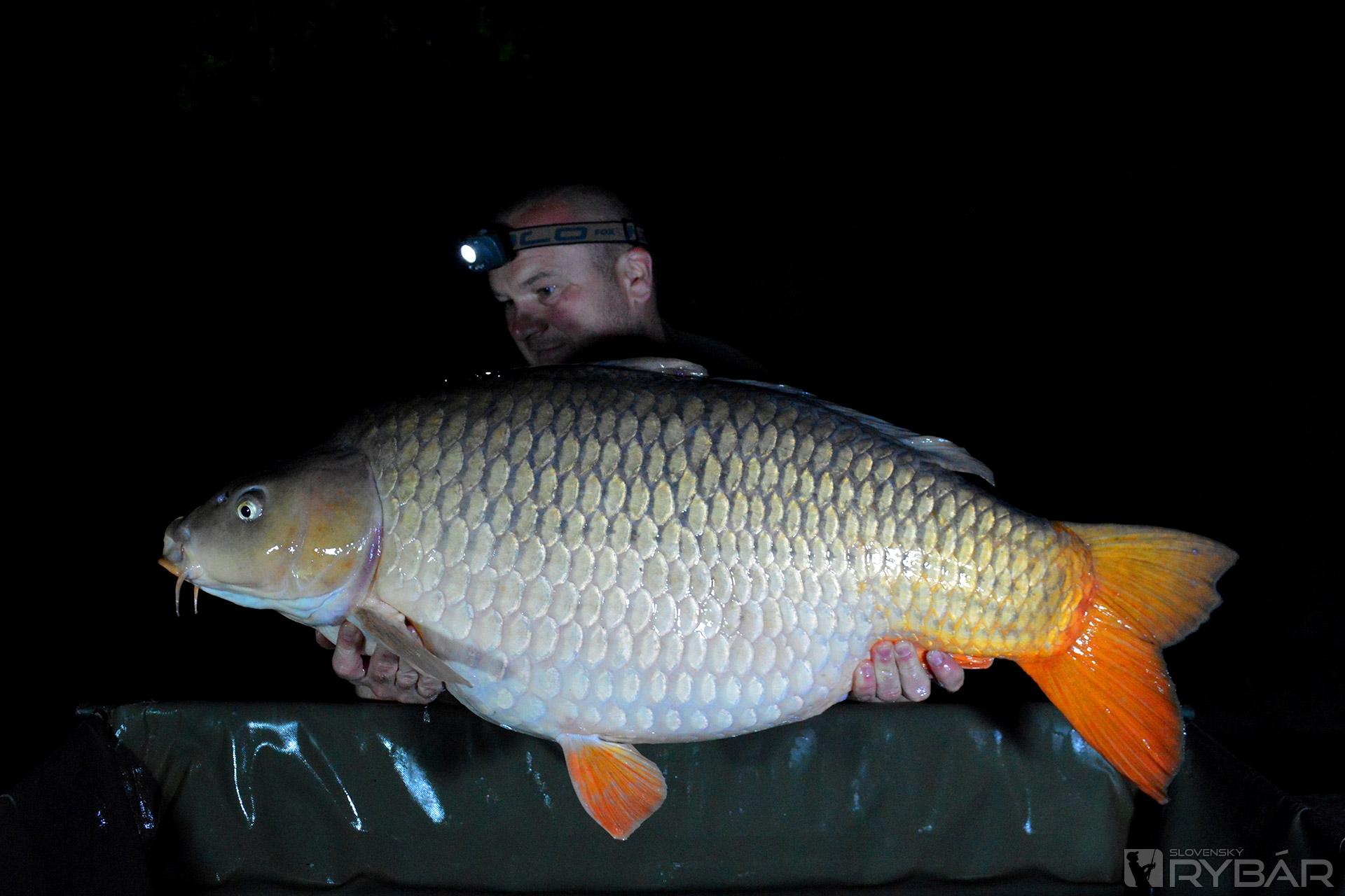 Mohutný 24,55 kg kapor.