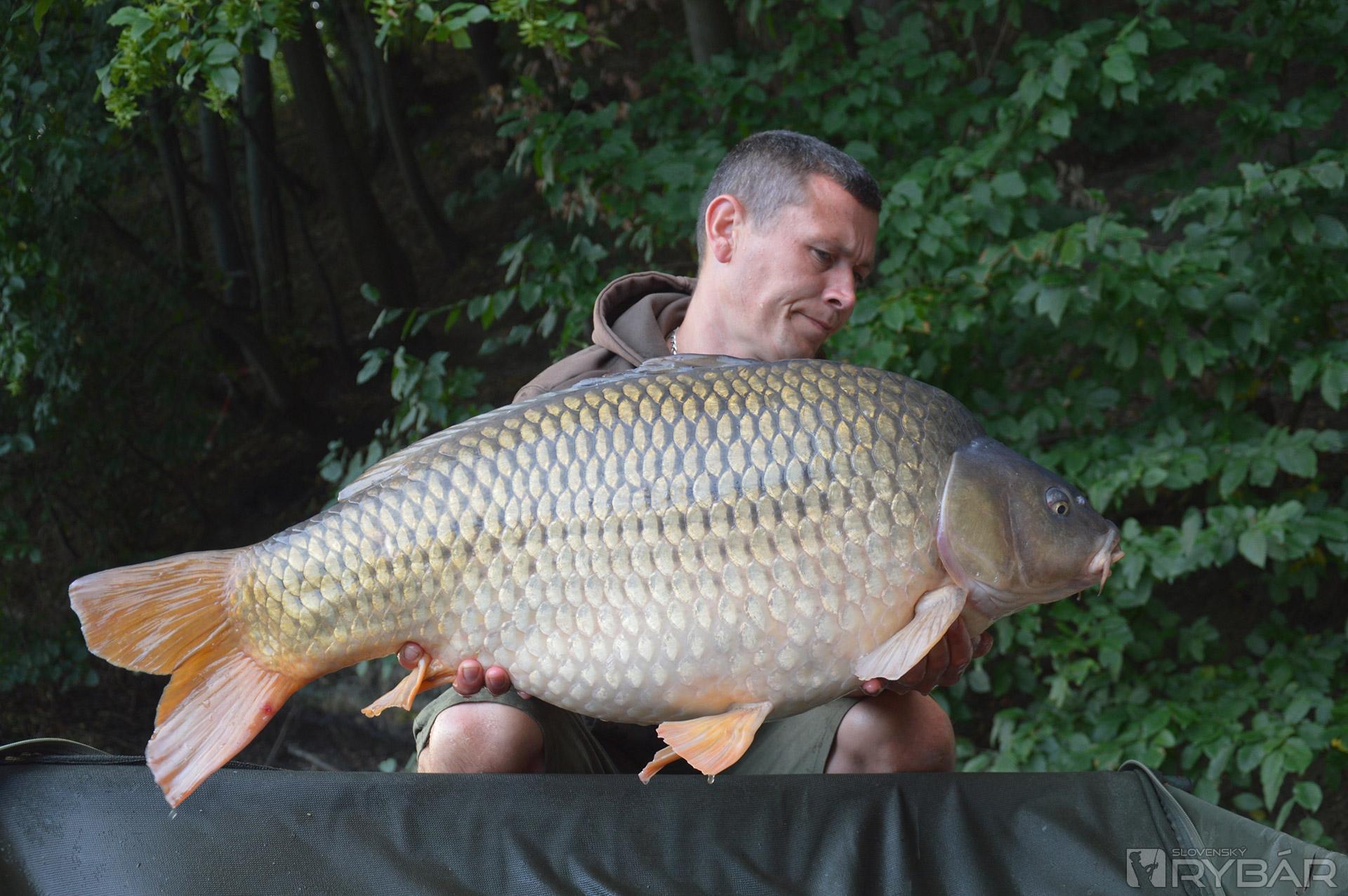 Robo a kapor cez magickú hranicu 20 kg.