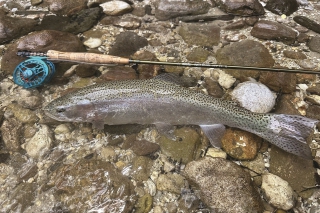 Učíme sa muškáriť s Filipom – 6. kapitola – strímrovanie 2