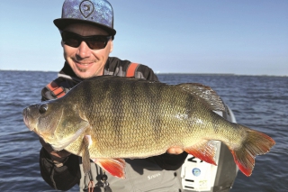 Kapitálny ostriež 54 cm.