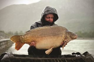 Počas silnej búrky prichádza veľmi opatrný záber a po dlhšom boji nám končí v podberáku tento nádherne stavaný lysec s hmotnosťou 22,30 kg.