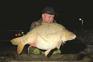 V noci sme veľa záberov nemali, ale tento 18 kg lysec ma veľmi potešil stavbou tela.