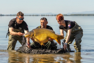 Šírava Casting Carp Cup 2026 8