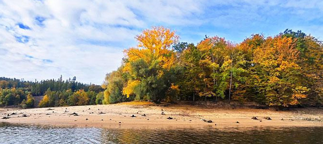 Lov boleňa na priehradách