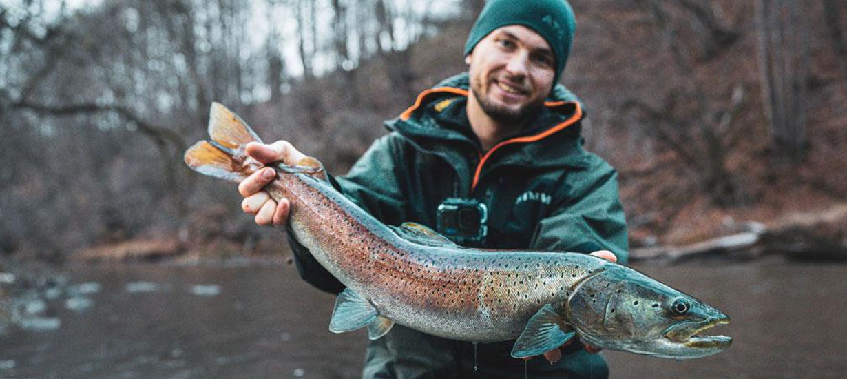Kráľovná rieky – hlavátka podunajská